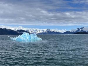 Iceberg on water with mountains in the background