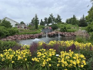 Garden and pond