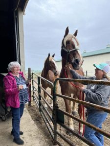 People next to horse