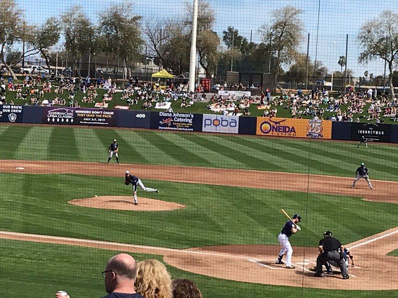 Baseball Spring Training